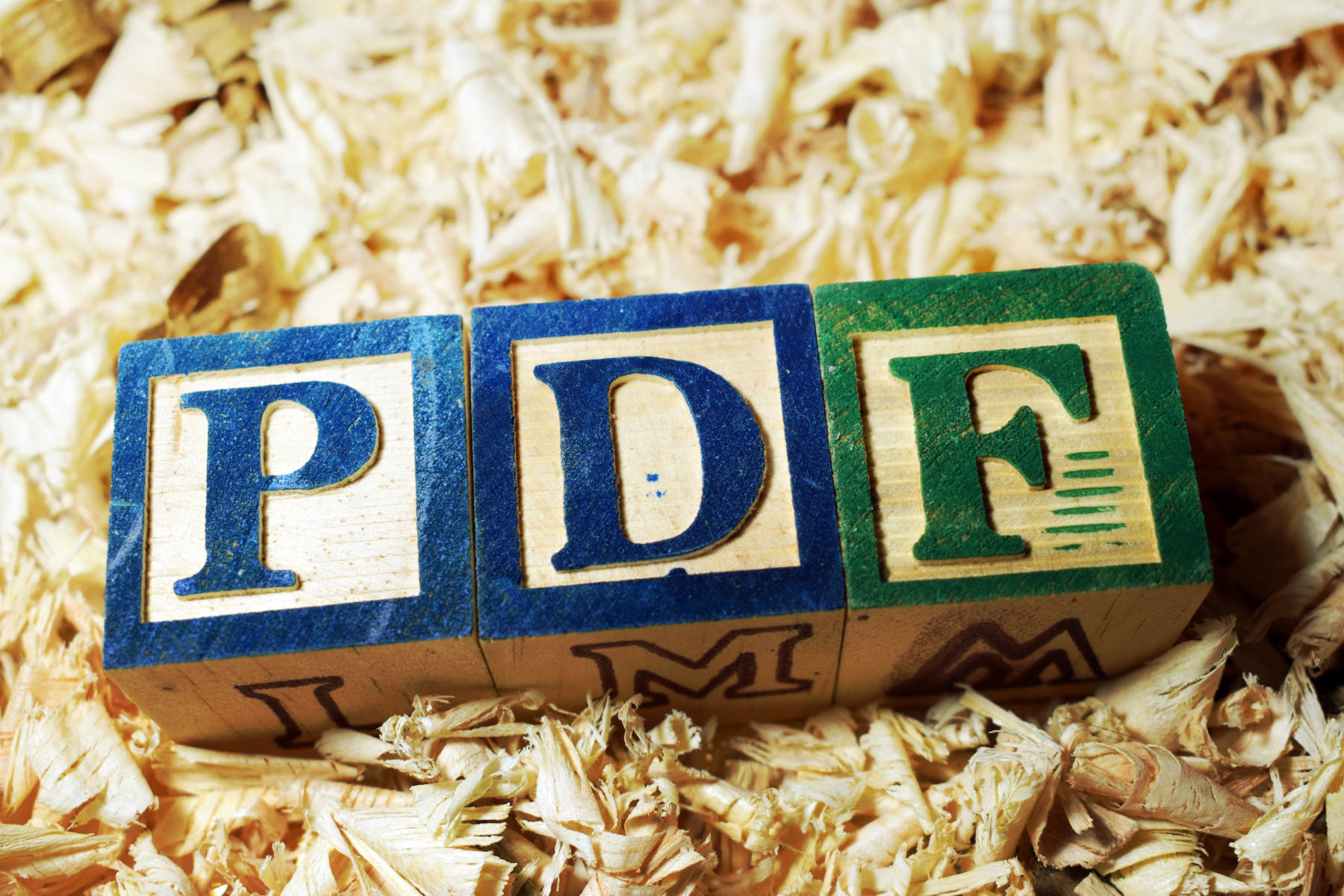 What is a PDF and what should I use a PDF for?